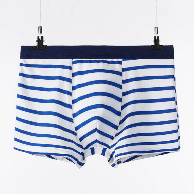 Os adultos puros "sexy" dos resumos do algodão do roupa interior dos homens do algodão de XXXL 165kg 95kg listram esportes 7