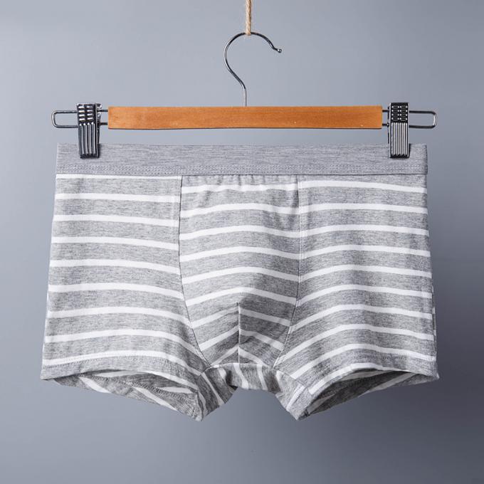 Os adultos puros "sexy" dos resumos do algodão do roupa interior dos homens do algodão de XXXL 165kg 95kg listram esportes 5