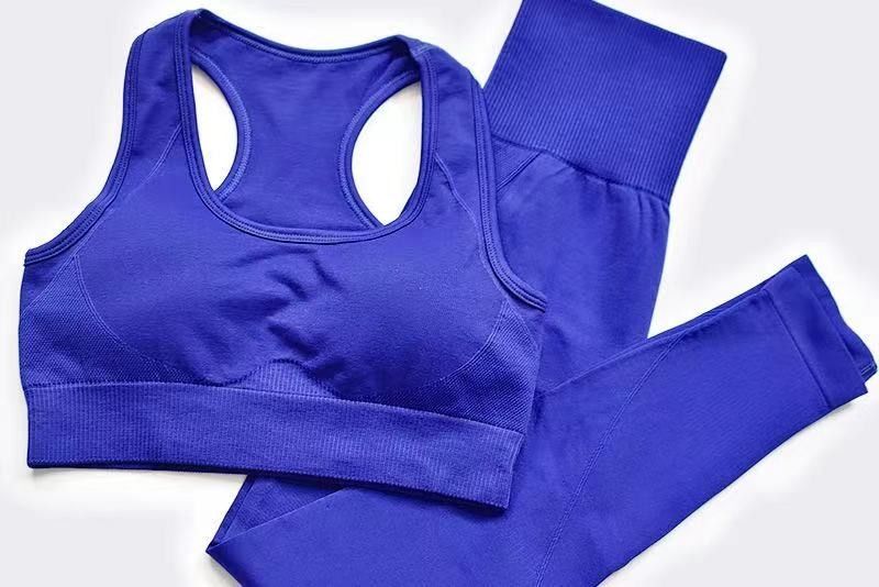 Caneleiras fêmeas de formação dos sutiãs S M L High Waist Fitness dos esportes do poliéster do terno
